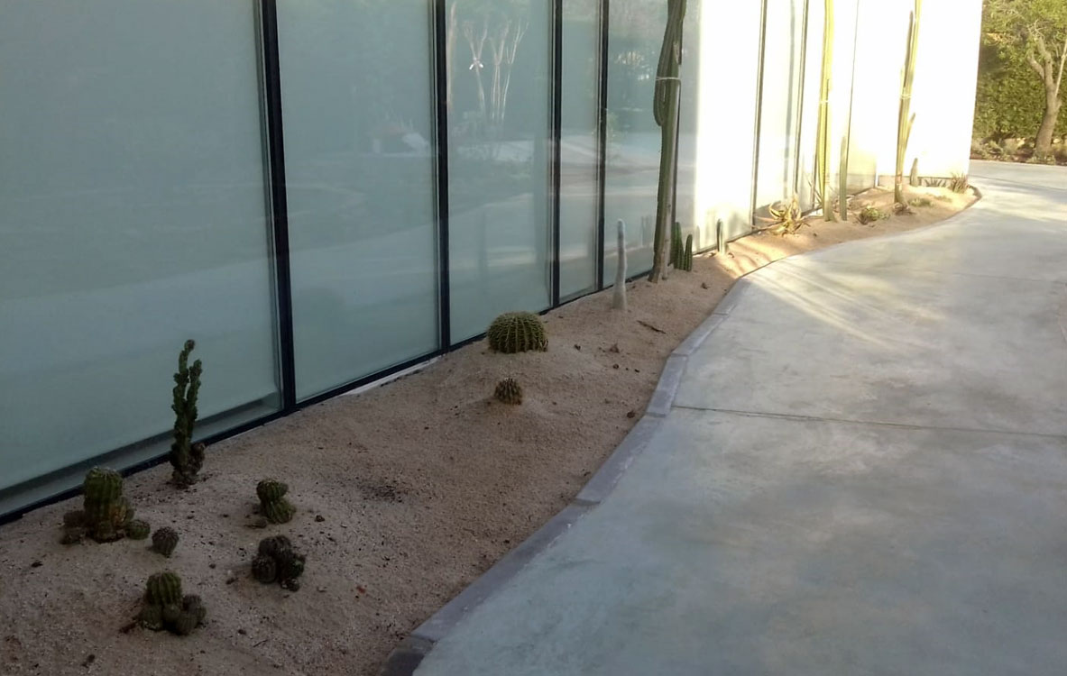 Xerojardín con cactus y aromáticas